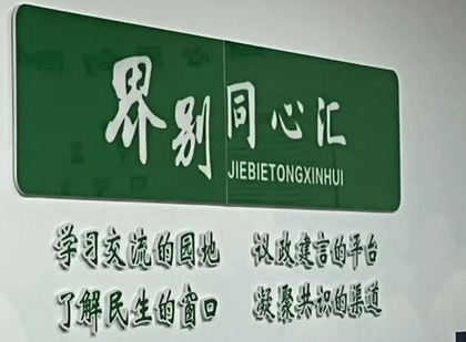 全区重点项目观摩团在金远社区委员协商议事厅观摩