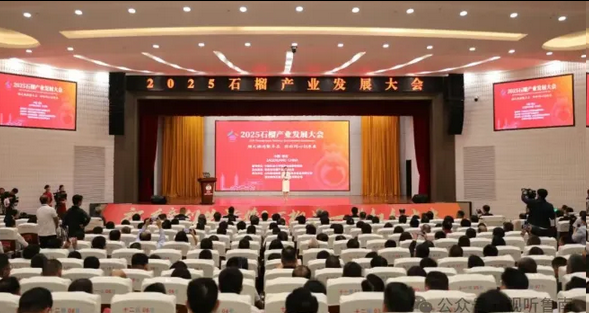 枣庄市2025石榴产业发展大会开幕