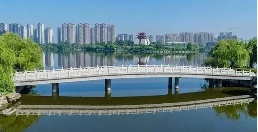 枣庄市市中区产业链工作专题调度会议召开